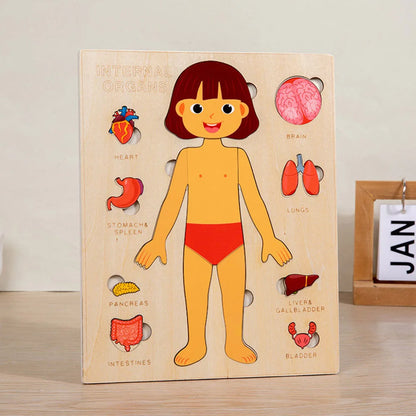 Montessori Human Body Puzzle Busy Board Educational Toy Learning Body Parts Kids