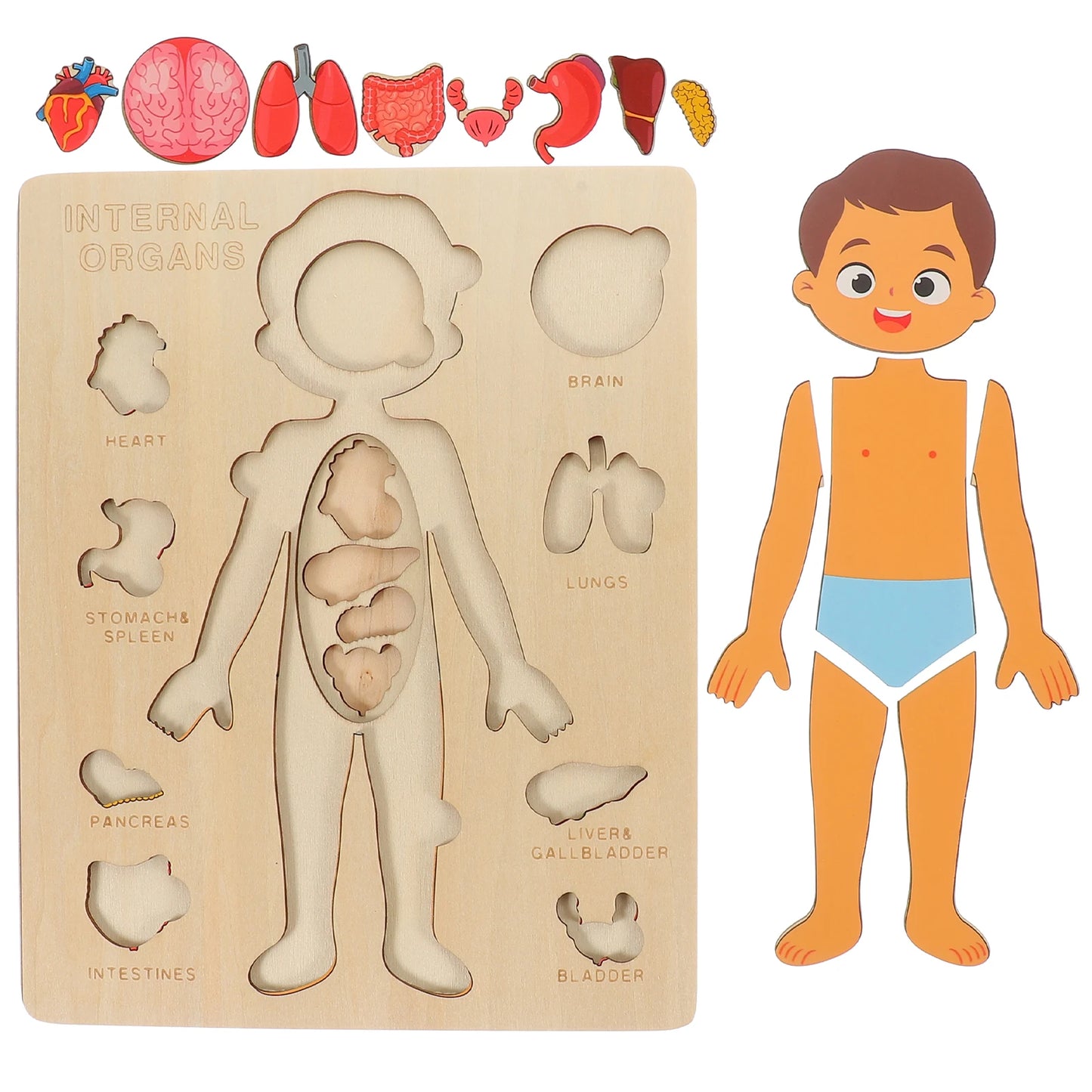 Montessori Human Body Puzzle Busy Board Educational Toy Learning Body Parts Kids