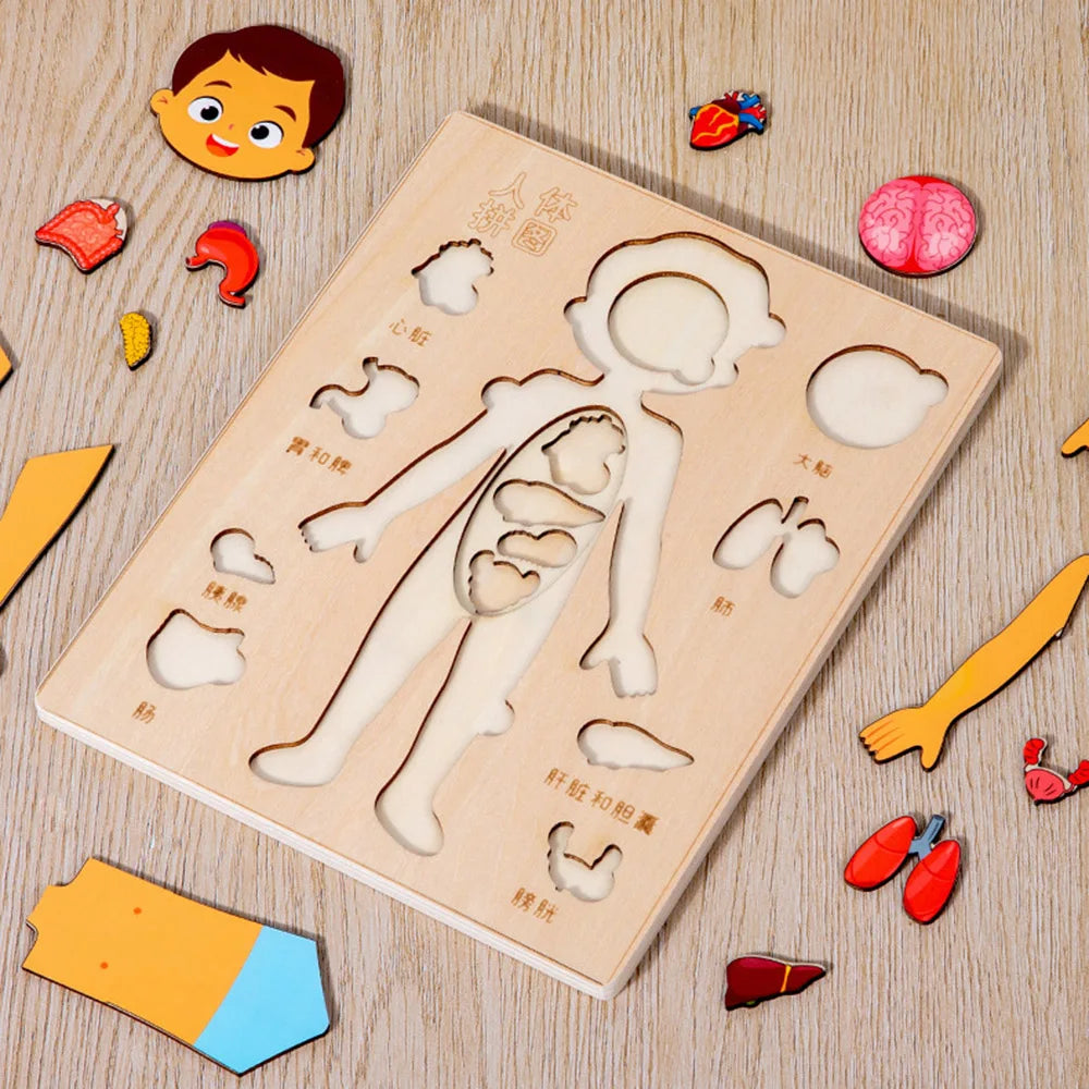Montessori Human Body Puzzle Busy Board Educational Toy Learning Body Parts Kids