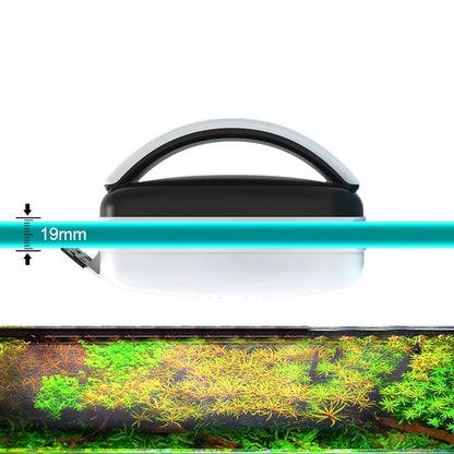 LumiNest Touch Bird Lamp – 3 Colour Bedside & Table Lighting
