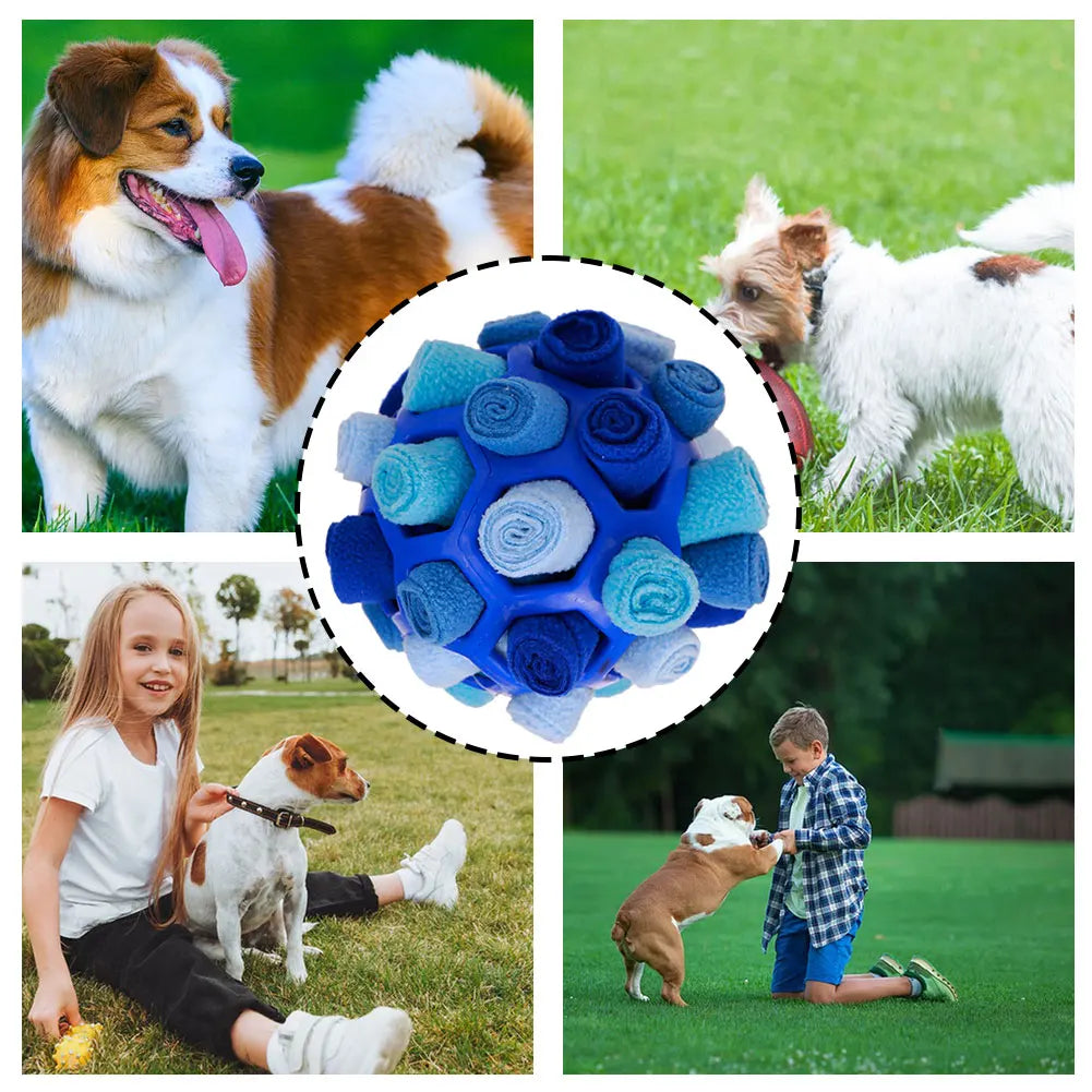 ChewSmart™ Dog Sniffing & Training Ball – Tooth Cleaning & Fun Play