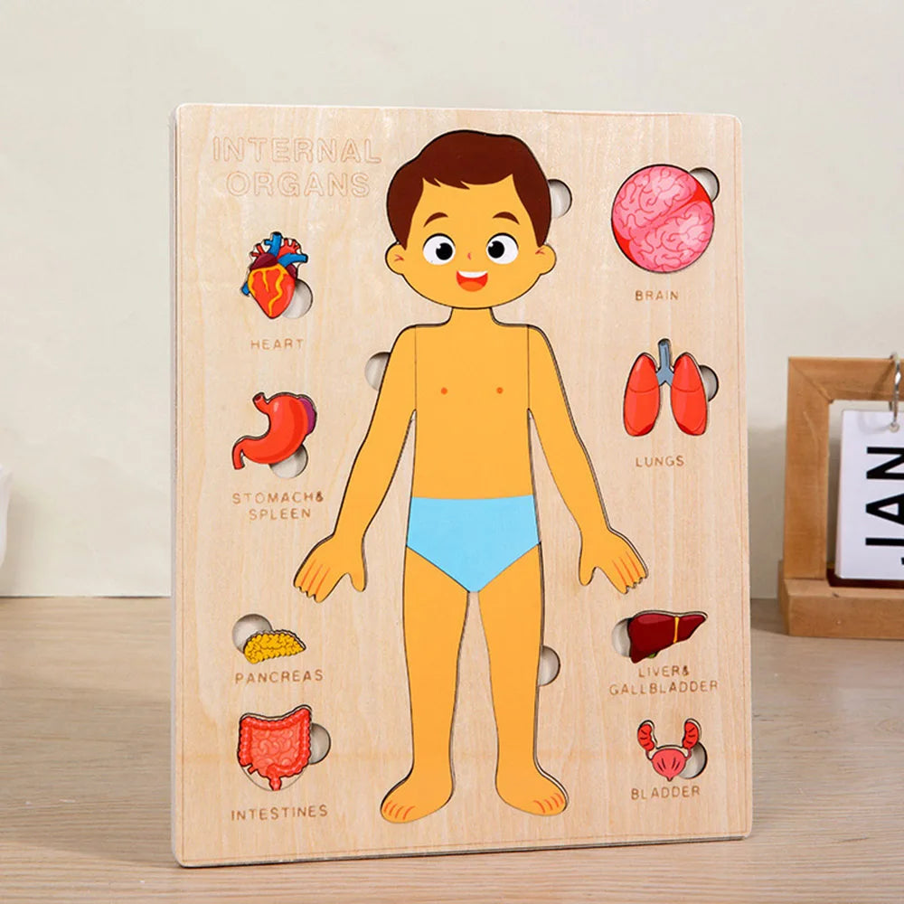 Montessori Human Body Puzzle Busy Board Educational Toy Learning Body Parts Kids