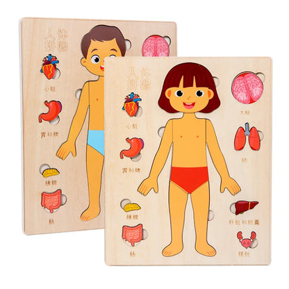 Montessori Human Body Puzzle Busy Board Educational Toy Learning Body Parts Kids