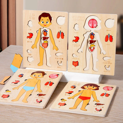 Montessori Human Body Puzzle Busy Board Educational Toy Learning Body Parts Kids